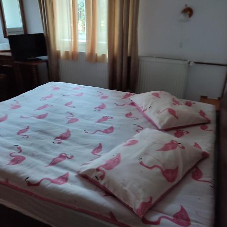 Vila Brazilor Căciulata Exterior foto