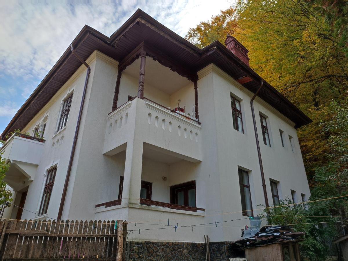 Vila Brazilor Căciulata Exterior foto