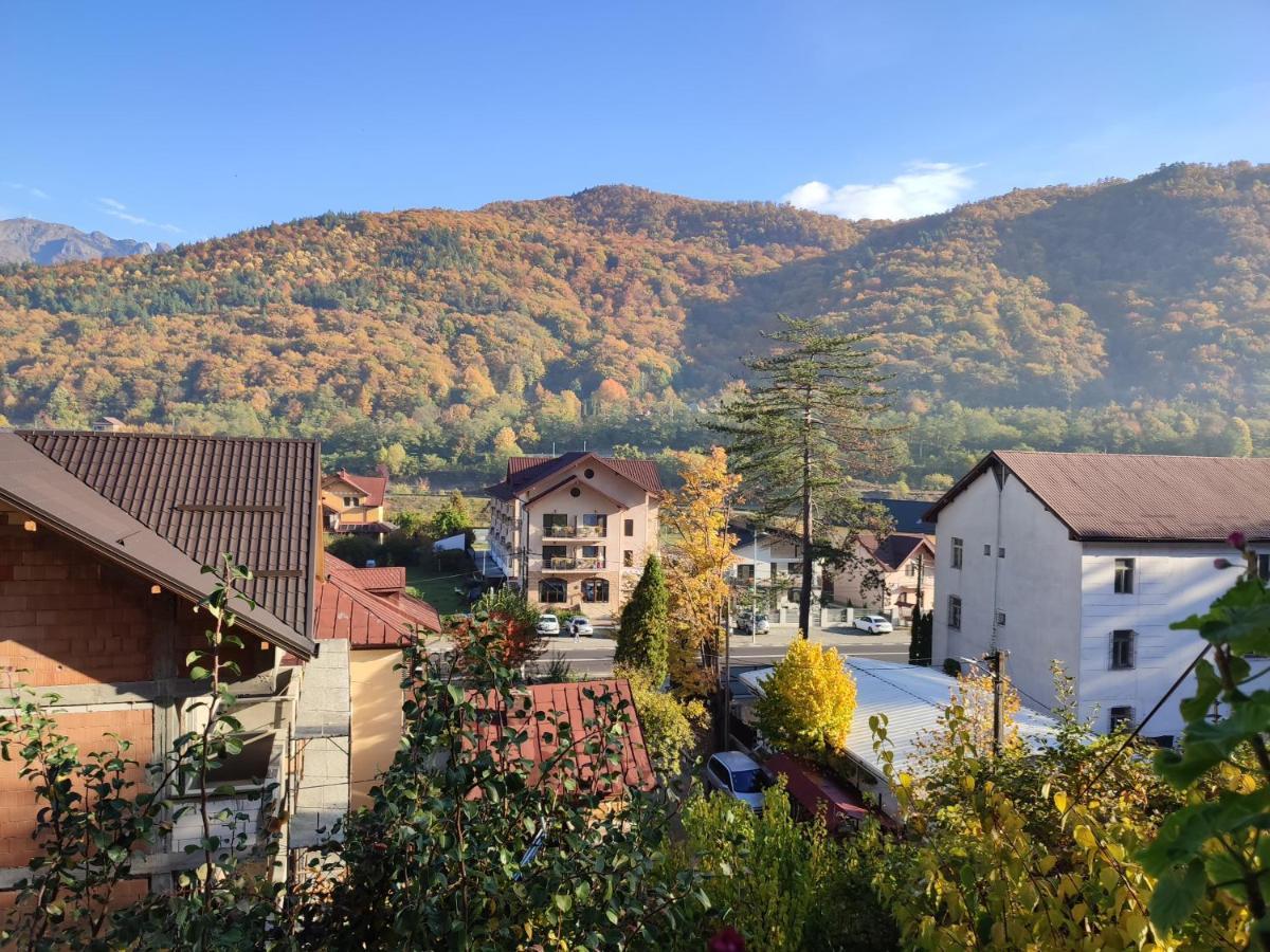 Vila Brazilor Căciulata Exterior foto